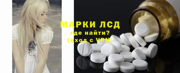 сатива Гусь-Хрустальный
