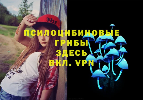 mdpv Гусиноозёрск
