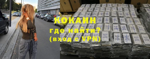 сатива Гусь-Хрустальный