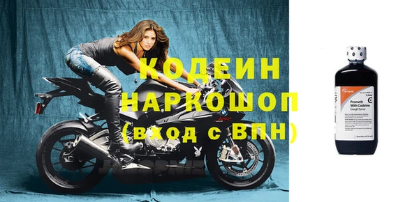 СК Гусев