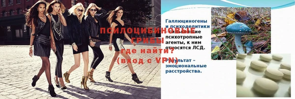 СК Гусев