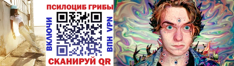 Купить закладки  Покровск  Галлюциногенные грибы Psilocybine cubensis 
